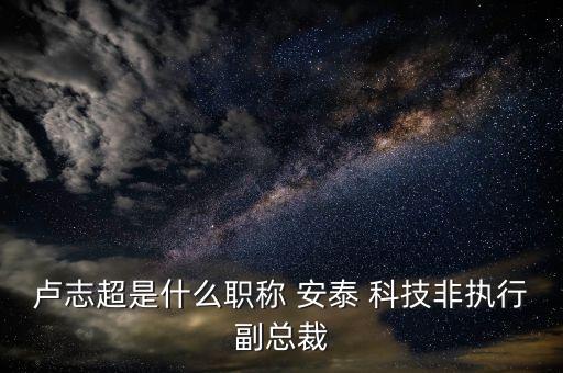 盧志超是什么職稱 安泰 科技非執(zhí)行副總裁