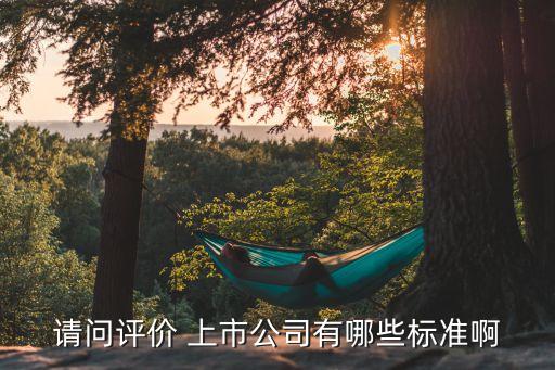 請問評價 上市公司有哪些標(biāo)準(zhǔn)啊