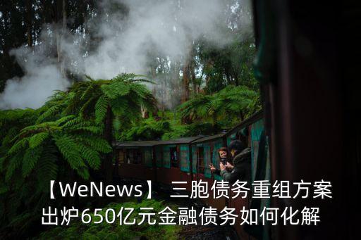 【W(wǎng)eNews】 三胞債務(wù)重組方案出爐650億元金融債務(wù)如何化解