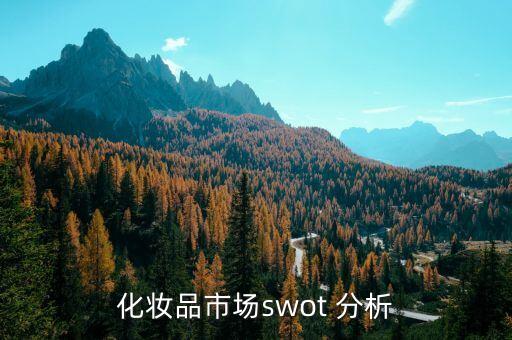 化妝品市場(chǎng)swot 分析