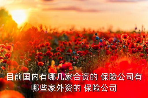 目前國內(nèi)有哪幾家合資的 保險公司有哪些家外資的 保險公司