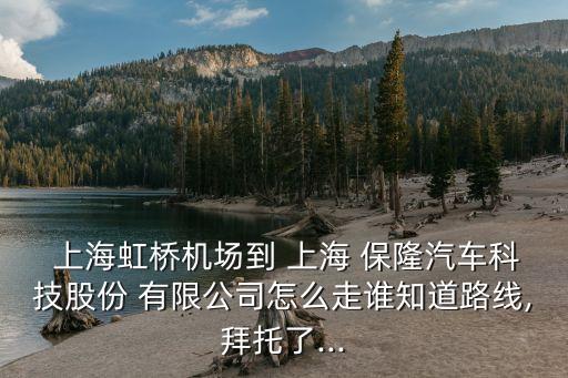  上海虹橋機場到 上海 保隆汽車科技股份 有限公司怎么走誰知道路線,拜托了...