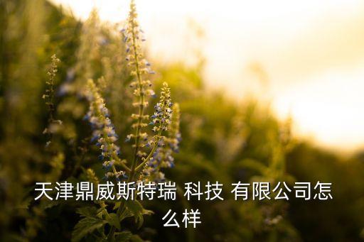  天津鼎威斯特瑞 科技 有限公司怎么樣