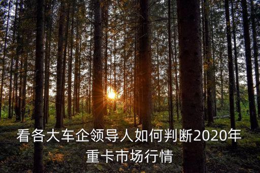 看各大車企領導人如何判斷2020年重卡市場行情