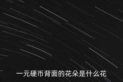 一元硬幣背面的花朵是什么花