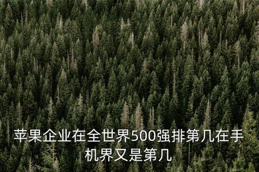 蘋果企業(yè)在全世界500強(qiáng)排第幾在手機(jī)界又是第幾