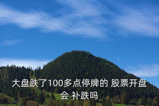 大盤跌了100多點(diǎn)停牌的 股票開盤會(huì) 補(bǔ)跌嗎