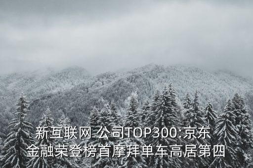 新互聯(lián)網(wǎng) 公司TOP300:京東 金融榮登榜首摩拜單車高居第四