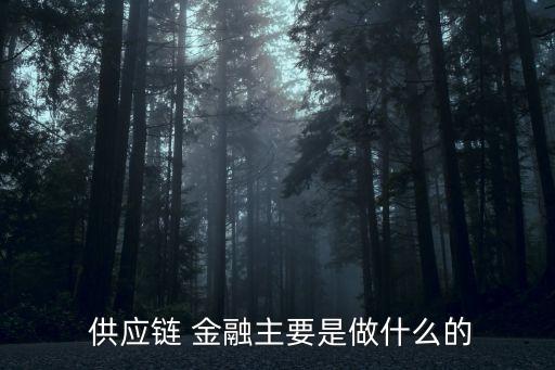  供應鏈 金融主要是做什么的