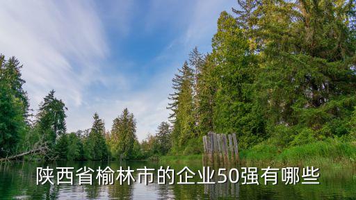 陜西省榆林市的企業(yè)50強(qiáng)有哪些