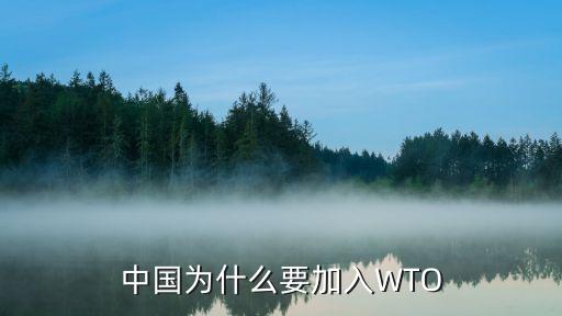 中國為什么要加入WTO