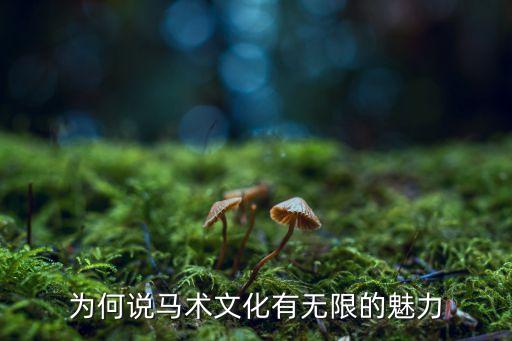 為何說馬術(shù)文化有無限的魅力