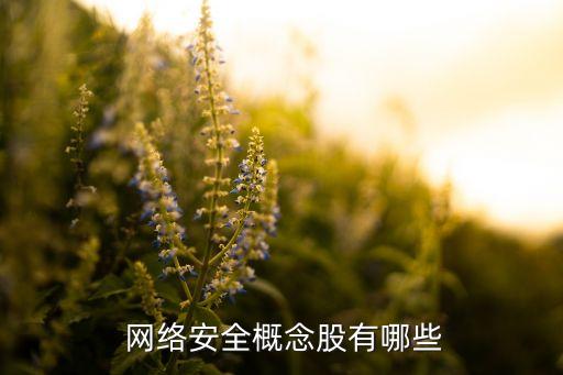 美國網(wǎng)絡(luò)安全上市公司,網(wǎng)絡(luò)安全的上市公司有哪些