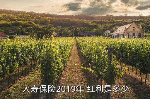  人壽保險2019年 紅利是多少