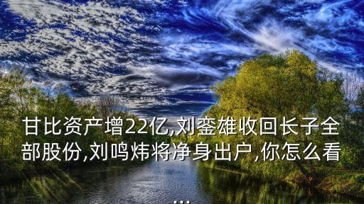 甘比資產(chǎn)增22億,劉鑾雄收回長(zhǎng)子全部股份,劉鳴煒將凈身出戶(hù),你怎么看...