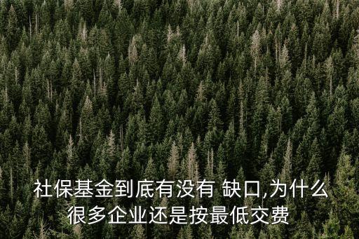  社?；鸬降子袥]有 缺口,為什么很多企業(yè)還是按最低交費