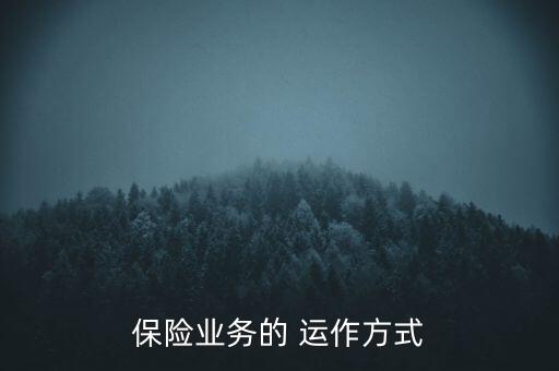 保險(xiǎn)業(yè)務(wù)的 運(yùn)作方式