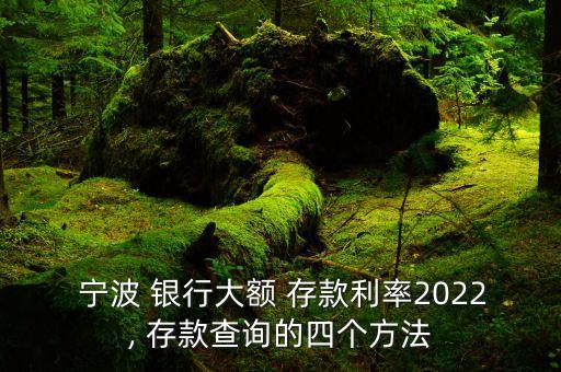  寧波 銀行大額 存款利率2022, 存款查詢(xún)的四個(gè)方法