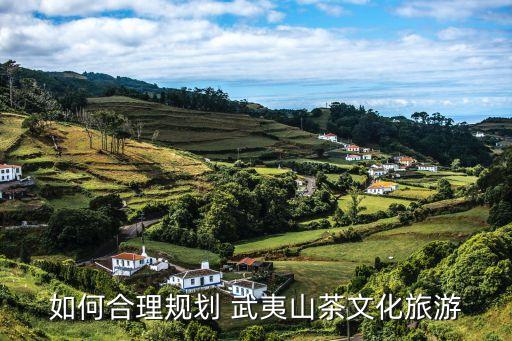 如何合理規(guī)劃 武夷山茶文化旅游