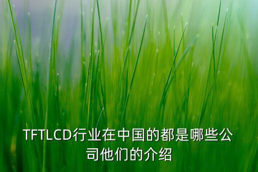 TFTLCD行業(yè)在中國(guó)的都是哪些公司他們的介紹