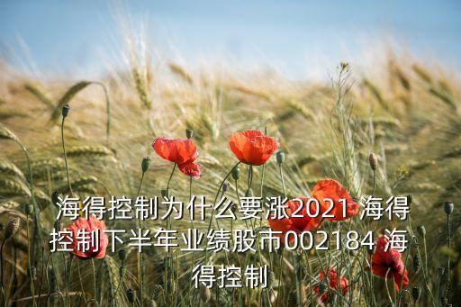  海得控制為什么要漲2021 海得控制下半年業(yè)績(jī)股市002184 海得控制