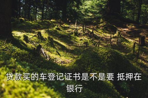 沒(méi)去銀行辦抵押可以上牌照