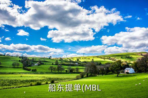  船東提單(MBL