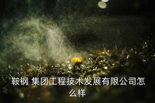 鞍鋼集團的付偉跑了