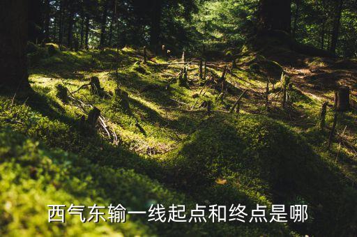 西氣東輸一線(xiàn)起點(diǎn)和終點(diǎn)是哪