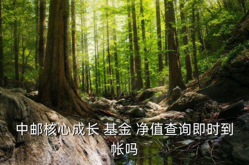 中郵核心成長 基金 凈值查詢即時(shí)到帳嗎