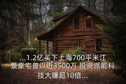 ...1.2億買下上海700平米江景豪宅曾以近3500萬(wàn) 投資派能科技大賺超10倍...