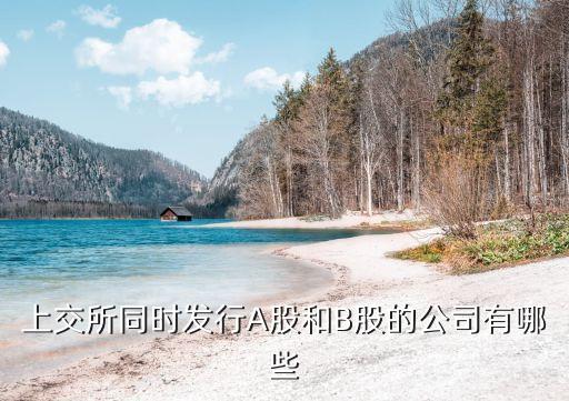 錦江股份和錦江投資的關(guān)系