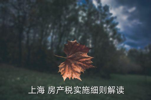  上海 房產(chǎn)稅實施細則解讀