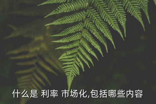 什么是 利率 市場(chǎng)化,包括哪些內(nèi)容