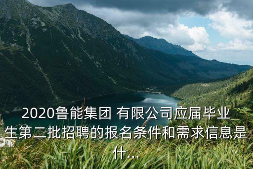 2020魯能集團(tuán) 有限公司應(yīng)屆畢業(yè)生第二批招聘的報名條件和需求信息是什...