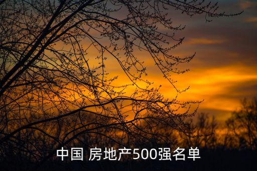 中國 房地產(chǎn)500強名單