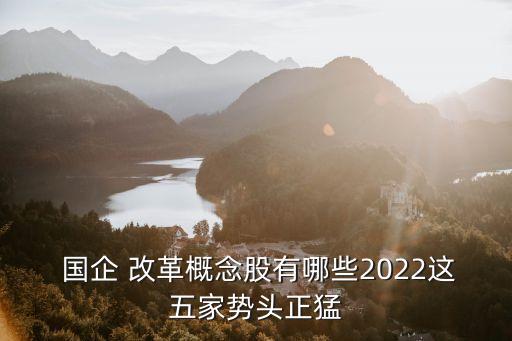  國(guó)企 改革概念股有哪些2022這五家勢(shì)頭正猛