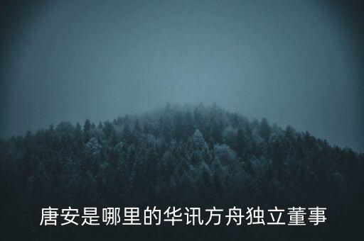  唐安是哪里的華訊方舟獨(dú)立董事