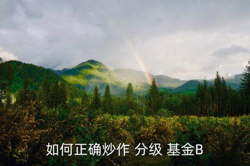 如何正確炒作 分級 基金B(yǎng)