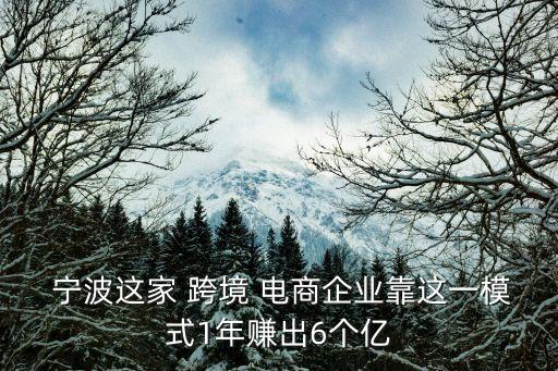  寧波這家 跨境 電商企業(yè)靠這一模式1年賺出6個(gè)億