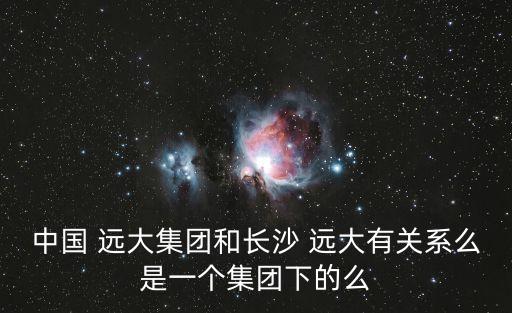 中國 遠大集團和長沙 遠大有關(guān)系么是一個集團下的么