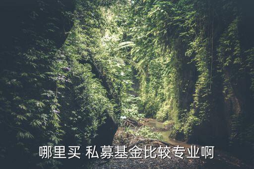 中國私募資訊網(wǎng),中國金屬資訊網(wǎng)