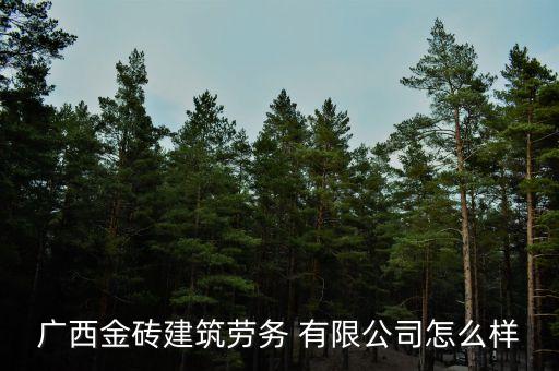 廣西金磚建筑勞務(wù) 有限公司怎么樣