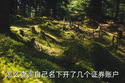 怎么查詢自己名下開(kāi)了幾個(gè)證券賬戶