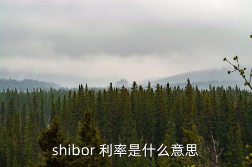 shibor 利率是什么意思