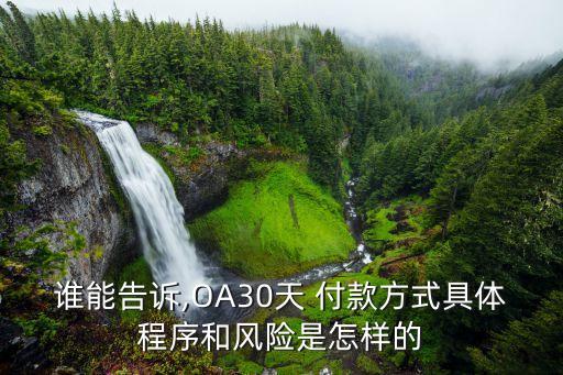 誰能告訴,OA30天 付款方式具體程序和風(fēng)險是怎樣的