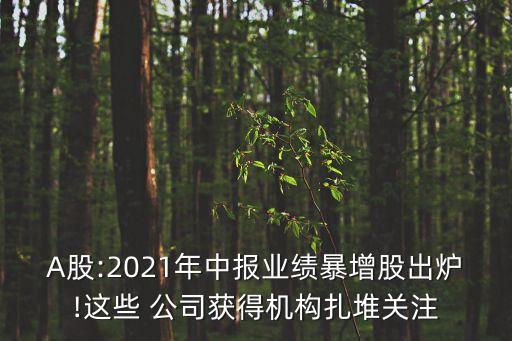 A股:2021年中報業(yè)績暴增股出爐!這些 公司獲得機(jī)構(gòu)扎堆關(guān)注