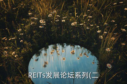 REITs發(fā)展論壇系列(二