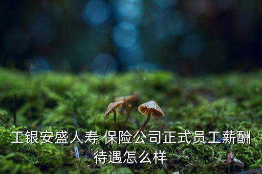 工銀安盛人壽 保險(xiǎn)公司正式員工薪酬待遇怎么樣