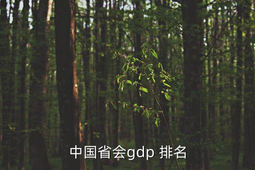 中國省會gdp 排名